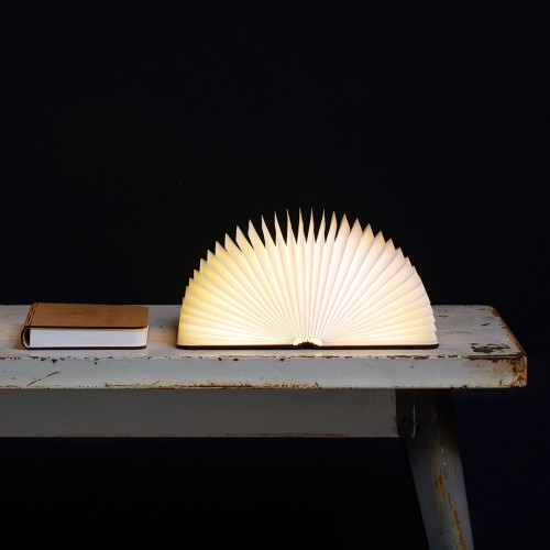 Lecture lumineuse (2-5). 