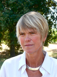 Rencontre débat: "Comment choisissez-vous vos livres?"  dans le cadre des Bibliothèques idéales