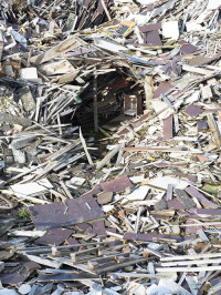 Exposition de photographies de Pierre Pommereau